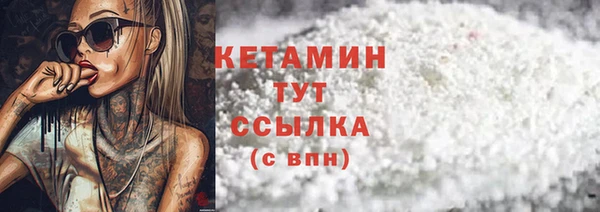крисы Коряжма