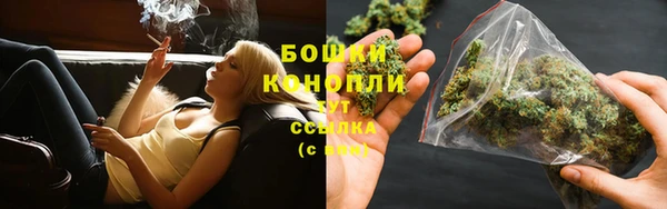 крисы Коряжма