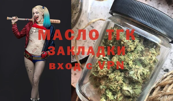 крисы Коряжма