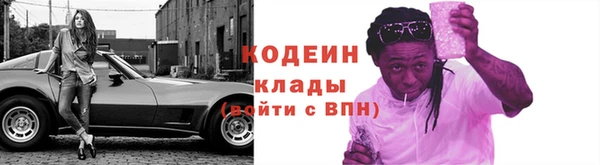 крисы Коряжма