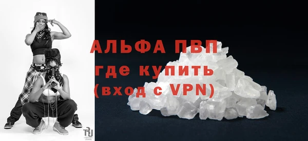 крисы Коряжма