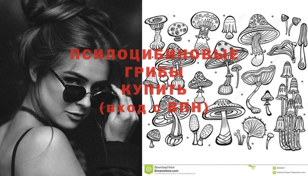 крисы Коряжма
