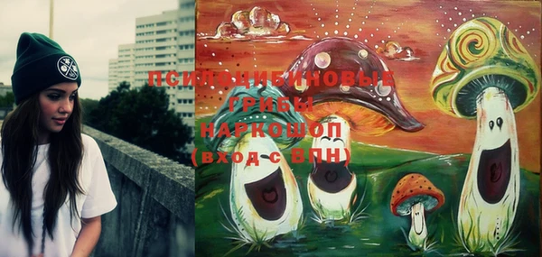 крисы Коряжма