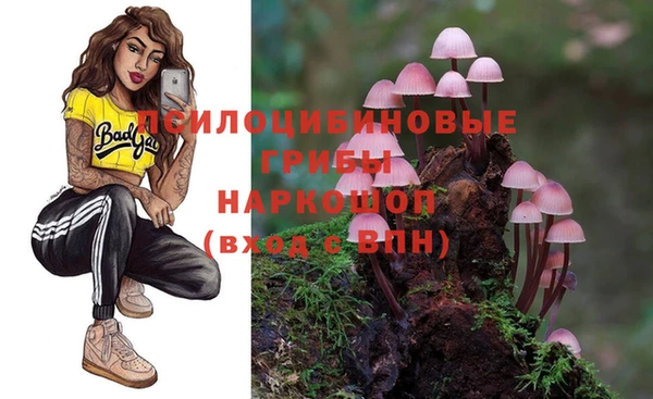 твердый Костерёво