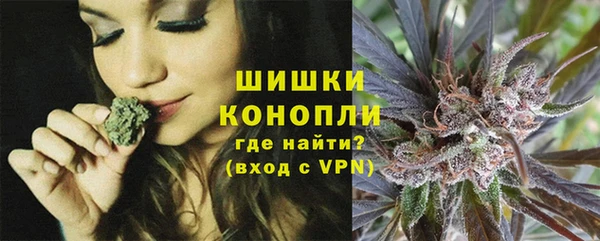 крисы Коряжма