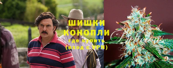 крисы Коряжма