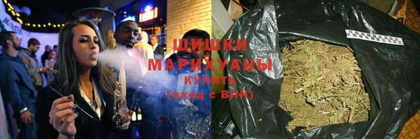 крисы Коряжма