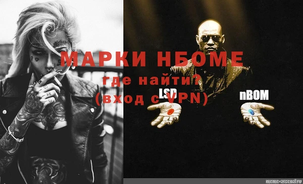крисы Коряжма